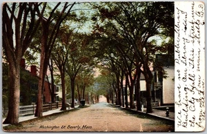 Beverly Massachusetts MA, 1908 Washington St, Trees, Roadway, Vintage Postcard - Picture 1 of 2