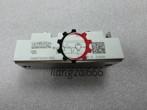 1PCS SEMIKRON SKM75GB176D power supply module NEW 100% Quality Assurance - Picture 1 of 6