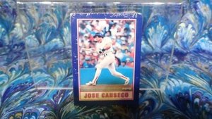 1990 Pepsi Jose Canseco TEN (10) BASEBALL Cards - sealed NEAR MINT/MINT NIP - Picture 1 of 3