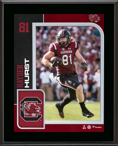 Hayden Hurst South Carolina Gamecocks 10.5' x 13' Player Plaque Cover