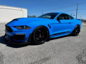 Shelby Mustang Super Snake at Finch Ford Lincoln 519-464-4004, Sarnia Ontario - Picture 1 of 24