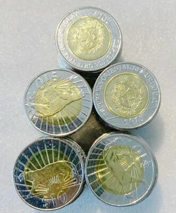 50pcs dealer coins lot Uruguay 10 pesos puma leopard panther 28mm bimetal UNC - Picture 1 of 2
