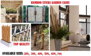 Bamboo Sticks Wooden Plant support Stick Garden canes Flower Poles 2/3/4/5/6/7Ft - Picture 1 of 22