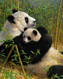 35" Fabric Panel | David Textiles Digital Giant Panda & Cub Forest Scene - Picture 1 of 1
