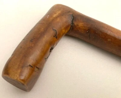 Antique 19th C. Folk Art Cane Pennsylvania Carved Birds and More - Image 1 of 4