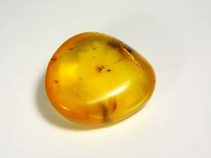 Vintage Baltic Amber Stone 13 grams Natural Old Gemstone Genuine 5981 - Picture 1 of 11