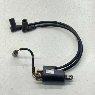 Bobina de encendido - Skidoo Formula Z 583 1998 Foto 1 de 4