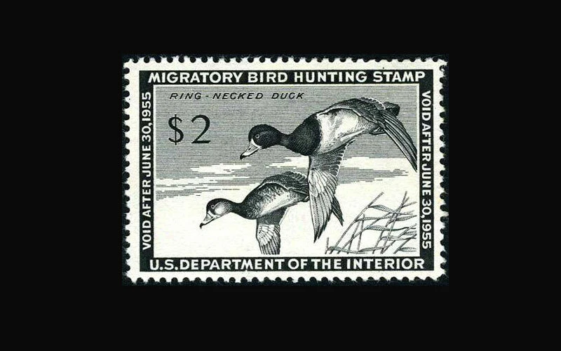 USA Federal Duck Stamp-Mint OG&H, VF/XF S#RW21 lightly hinged fresh stamp - Image 1 of 1