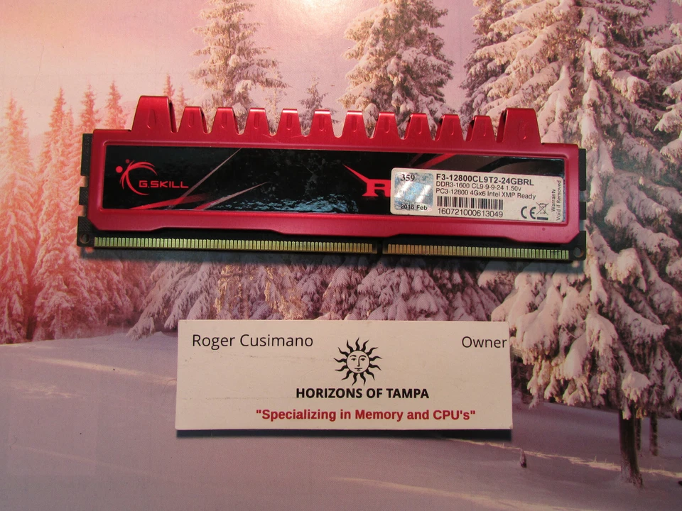 G.SKILL F3-12800CL9T2-24GBRL RIPJAWS 4GB PC3-12800  PC RAM SINGLE - Image 1 of 1