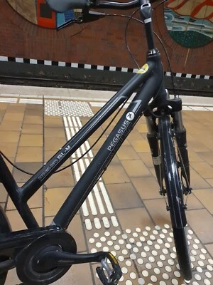 Pegasus PREMIO SL-M - Bild 1 von 4