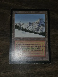 MTG Magic The Gathering - Taiga - Collectors Edition - MP - Picture 1 of 11