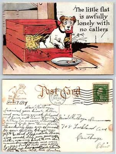 DOG THE LITTLE FLAT IS AWFULLY LONELY w NO CALLERS Pink Perfection Postcard f309 - Picture 1 of 1