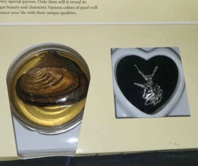NUEVO Unicornio Amor Deseo Perla Collar Hágalo Usted Mismo Cultura Ostra Kit de Apertura Conjunto Regalo Foto 1 de 4
