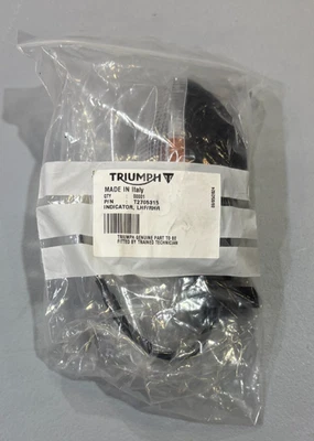 TRIUMPH TURNSIGNAL LHF/RHR T2705315 - Image 1 of 2