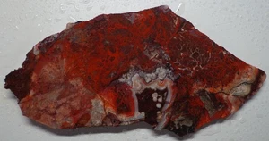 WRG - Rosetta Crazy Lace Achatplatte 183 Gramm Mexiko Lapidar Plume Moos - Bild 1 von 4