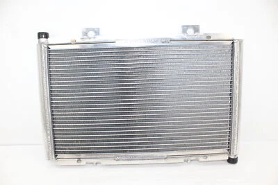 Can Am 2011-2017 Maverick Commander New Genuine Coolant Radiator 709200395 Foto 1 de 4