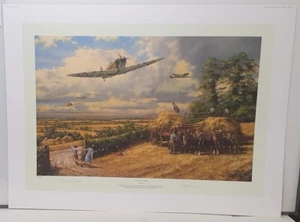 cp140  Longest Summer by Anthony Saunders.  Comes With A Limited Edition Book - Picture 1 of 5