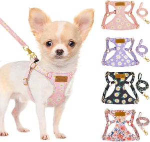 Slowton Puppy Harness and Leash Set, No Pull Adjustable Lightweight Soft Sued... - Picture 1 of 2