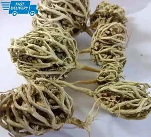 Flower Of Maryam Chaste Tree Herbs Palm Of Mary 100% Natural Fast Shipping - Picture 1 of 1