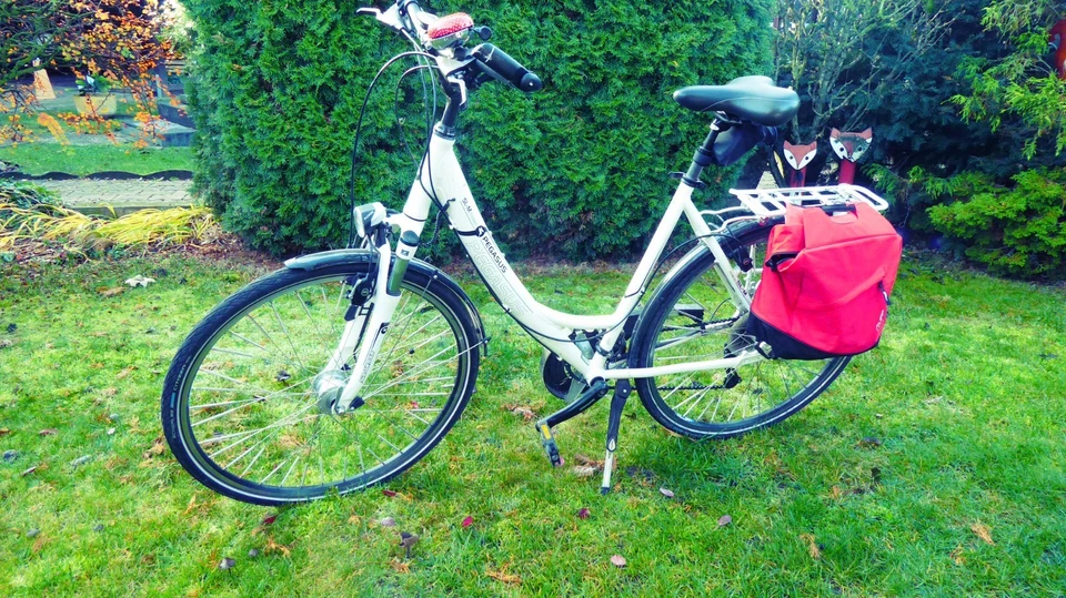 pegasus fahrrad 28 zoll damen gebraucht - Bild 1 von 1