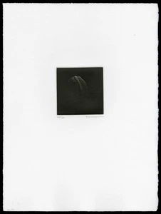 RARO - IMPRESIÓN ORIGINAL YOZO HAMAGUCHI Nogal Mezzoting Firmado 1982 - Imagen 1 de 5