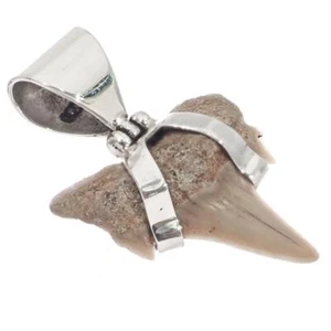 925 Silver Small Genuine Complete Shark Tooth Fossil Sterling Pendant, 1 1/8" - Picture 1 of 3