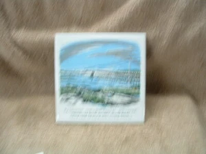DECORATO A MANO DA SCREENCRAFT PIASTRELLE SOTTOPIATTO PONTE IN PIETRA PRESEPE BAILEY ORR'S ISLAND - Foto 1 di 1