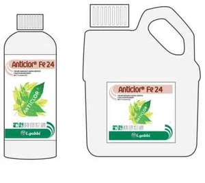 Garcia - Anticlor Fe 24 Lt 1 N.6 Lt - Bild 1 von 2