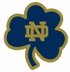 Imán de nevera Notre Dame Fighting Irish NCAA College Logo 2025 5 pulgadas - Imagen 1 de 1