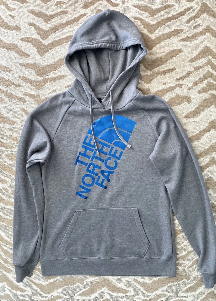 The North Face Metallic Logo Hoodie Size S/P EUC - Image 1 of 1