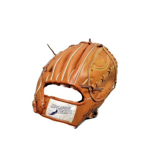 VTG Orlando Rays Minor League Baseball Promotional Glove Cover
