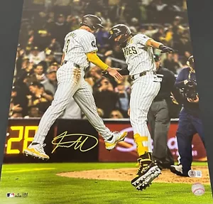Jackson Merrill Padres Auto Signed 16x20 Photo Beckett WITNESS Hologram Tatis - Picture 1 of 1