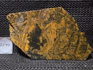 SELTENE dendritische gelbe Feder Jaspis Platte, wunderschönes federhaftes Design und Farbe UT - Bild 1 von 8