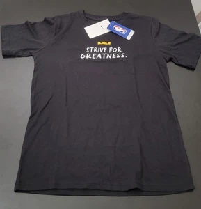Nike Tee NBA Los Angeles Lakers Lebron James 40k Point Record Youth L - Picture 1 of 7