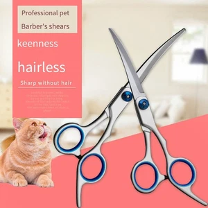 Pet Scissors Safety Round Head Stainless Steel Curved Scissors - Picture 1 of 16