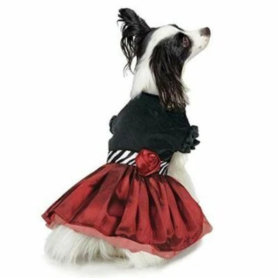 Платье Jolie Party Dog Pet с бантом и оборками черное бархатное атласное розовое праздничное XXS - Изображение 1 из 3