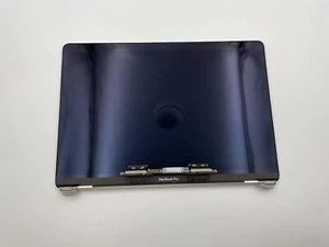 Genuine MacBook Pro 13" A1989 A2159 A2251 A2289 2018 2020 LCD Screen Assembly - Bild 1 von 7