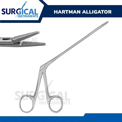 SURGINSTRUMENTS Alligator Forceps Surgical & Veterinary Instruments 10" Stainless German Grade