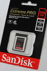 SanDisk 256GB Extreme PRO CFexpress Card Type B SEALED - Picture 1 of 2