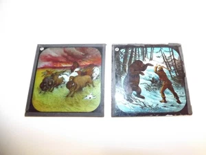 Antique Magic Lantern Slides - Buffalo and Wild Horses & Grisly Bear Fight - Picture 1 of 4