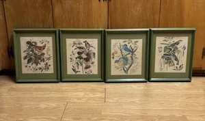 4 Vintage Arthur Singer Vogel Drucke gerahmt Kardinal Goldfinch Bluebird Spottdrossel - Bild 1 von 21