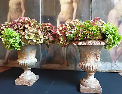 Paire De Vases Médicis En Fonte Ancienne.  Vase Époque 19ème Siècle. • 450€