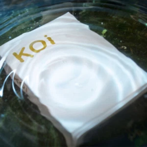 Koi V2 Playing Cards by Byron Leung - Picture 1 of 7