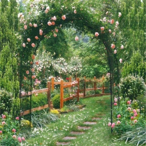 Rustproof Metal Garden Patio Arch Rose Arbour Archway Climbing Plant Trellis US - Picture 1 of 12