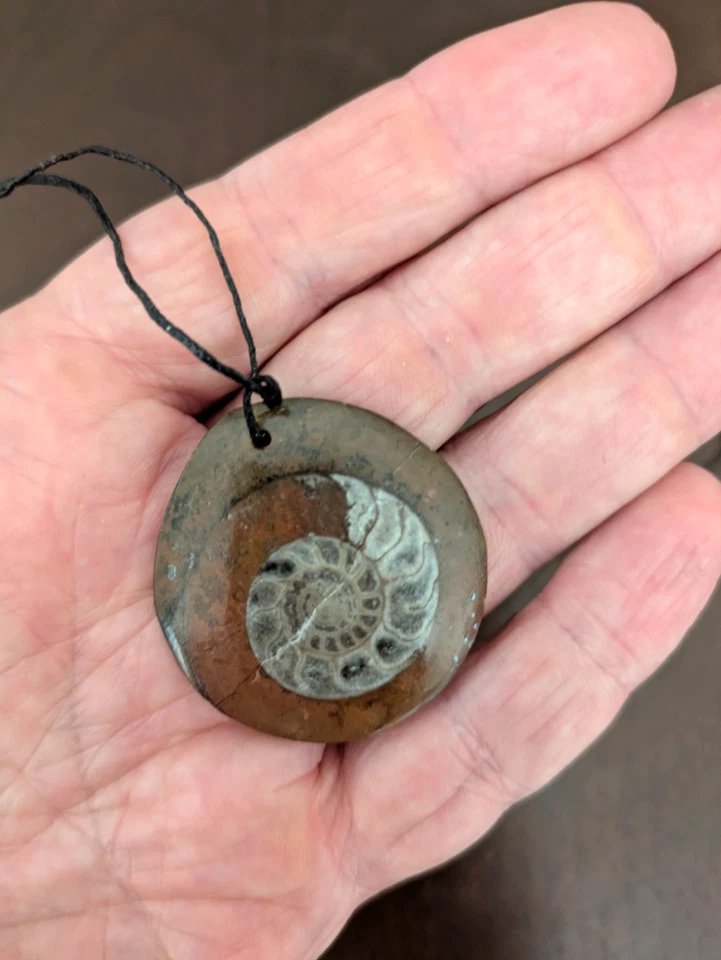 COLLAR HOMBRE: Colgante Piedra Fósil con Diseño Amonita Cordón Negro Tribal Boho Foto 1 de 4