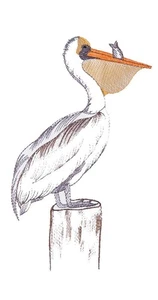 Pelikan Vogel auf Pier Stapel Mehl Sack Küchentuch 27 x 18 - Bild 1 von 1