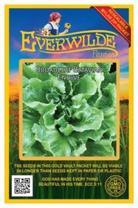 2000 Broadleaf Batavian Endive Seeds - Everwilde Farms Mylar Seed Packet - Picture 1 of 3