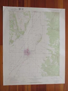 Mount Pleasant Utah 1979 Original Vintage USGS Topo Karte - Bild 1 von 1