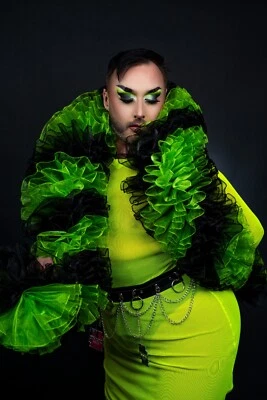 Boa de organza negra y verde 12 ft/3,66 m Foto 1 de 4