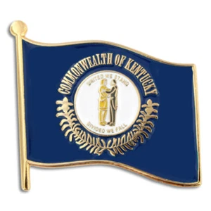 PinMart's Kentucky Bandera del Estado de EE. UU. KY Solapa - Imagen 1 de 2